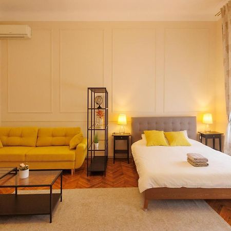 Spacious Flat In Old Town Wi-Fi ティミショアラ エクステリア 写真