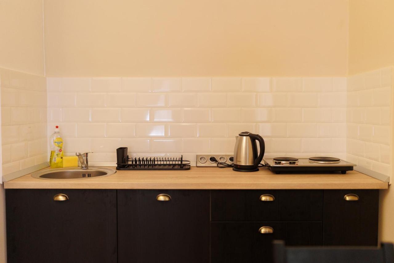 Spacious Flat In Old Town Wi-Fi ティミショアラ エクステリア 写真