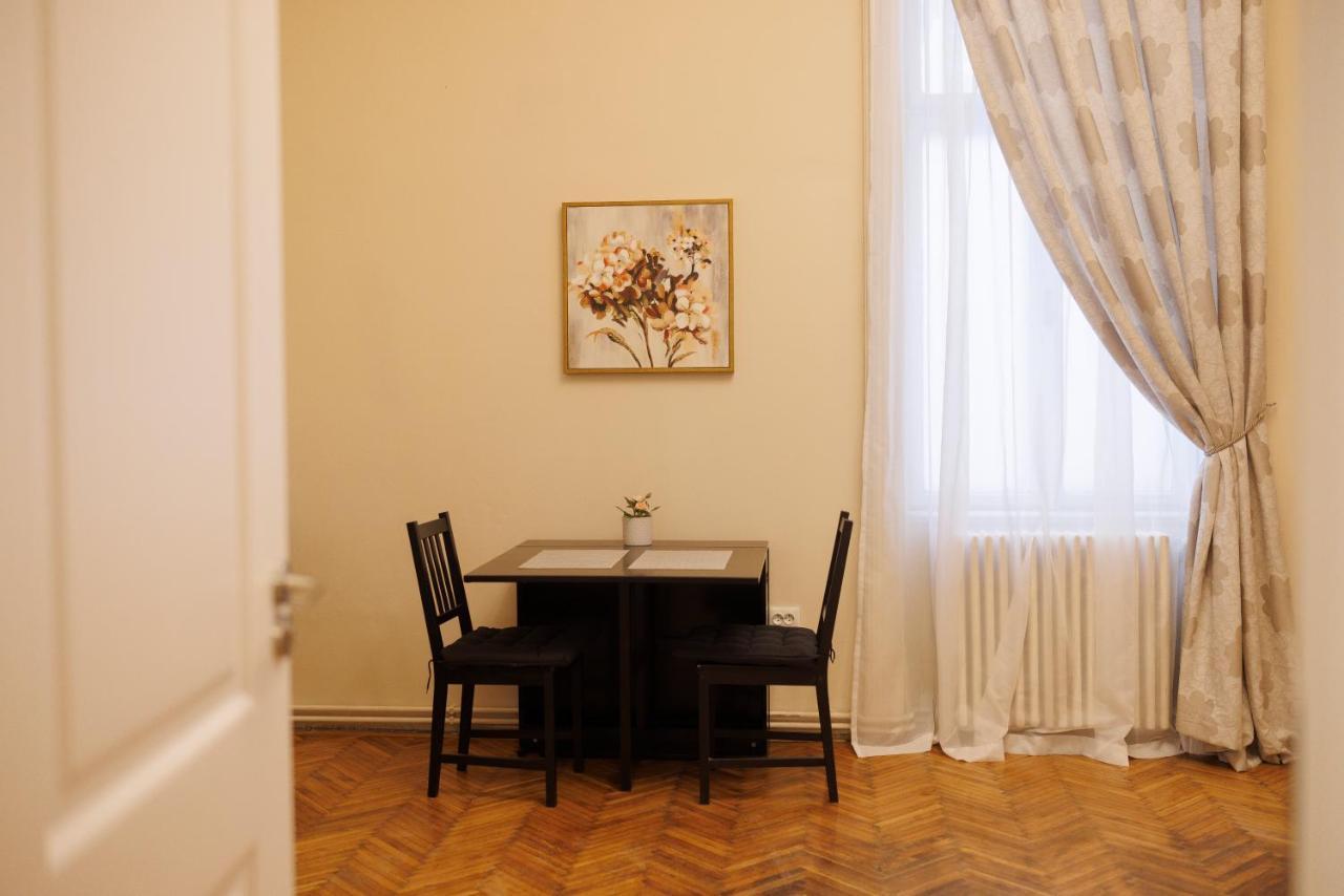 Spacious Flat In Old Town Wi-Fi ティミショアラ エクステリア 写真
