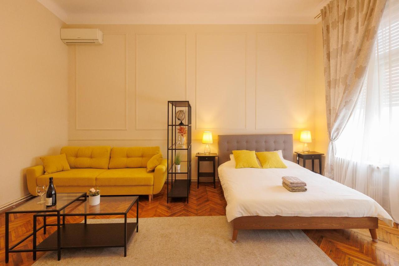 Spacious Flat In Old Town Wi-Fi ティミショアラ エクステリア 写真