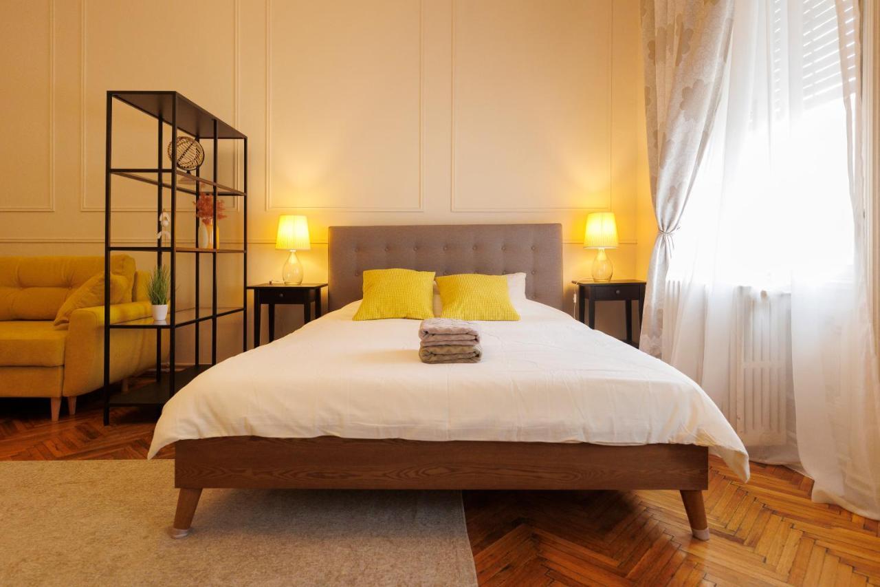 Spacious Flat In Old Town Wi-Fi ティミショアラ エクステリア 写真