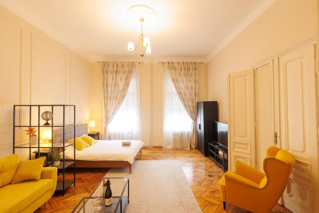 Spacious Flat In Old Town Wi-Fi ティミショアラ エクステリア 写真