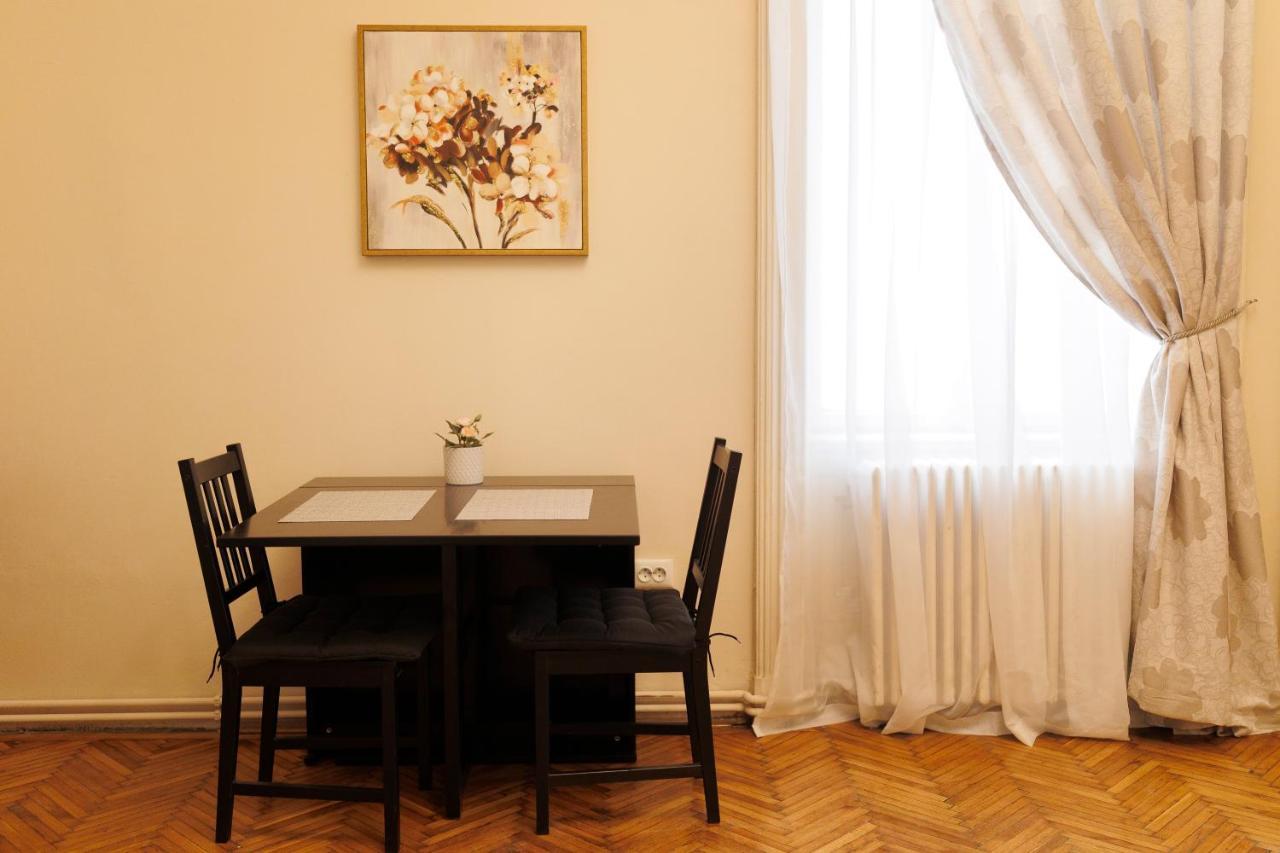 Spacious Flat In Old Town Wi-Fi ティミショアラ エクステリア 写真