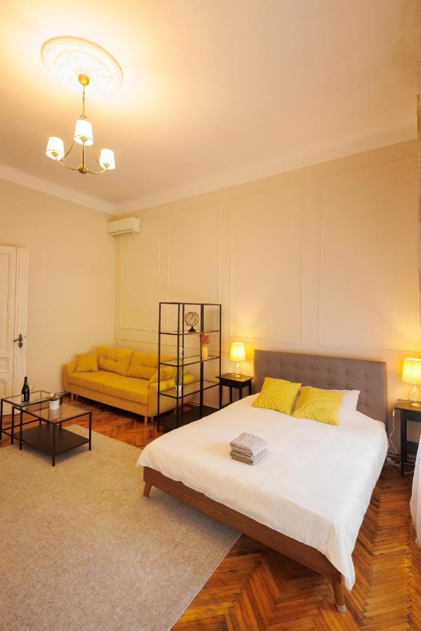 Spacious Flat In Old Town Wi-Fi ティミショアラ エクステリア 写真